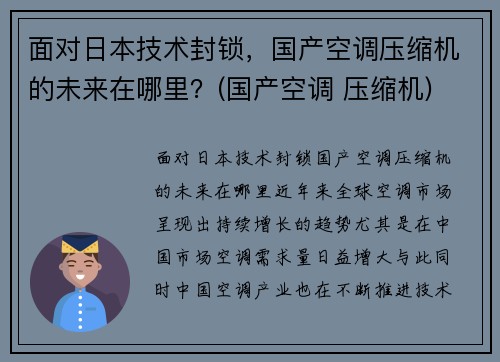 面对日本技术封锁，国产空调压缩机的未来在哪里？(国产空调 压缩机)