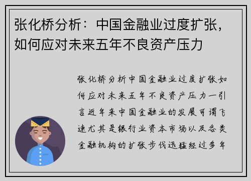 张化桥分析：中国金融业过度扩张，如何应对未来五年不良资产压力