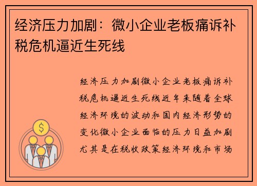 经济压力加剧：微小企业老板痛诉补税危机逼近生死线